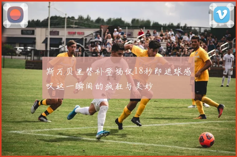 斯万贝里替补登场仅18秒即进球感叹这一瞬间的疯狂与美妙