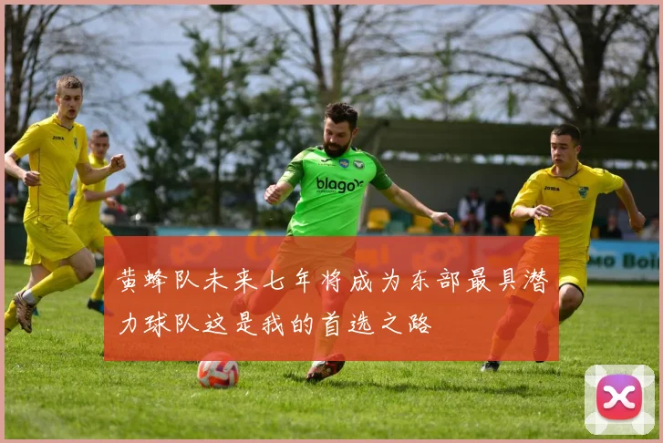 黄蜂队未来七年将成为东部最具潜力球队这是我的首选之路